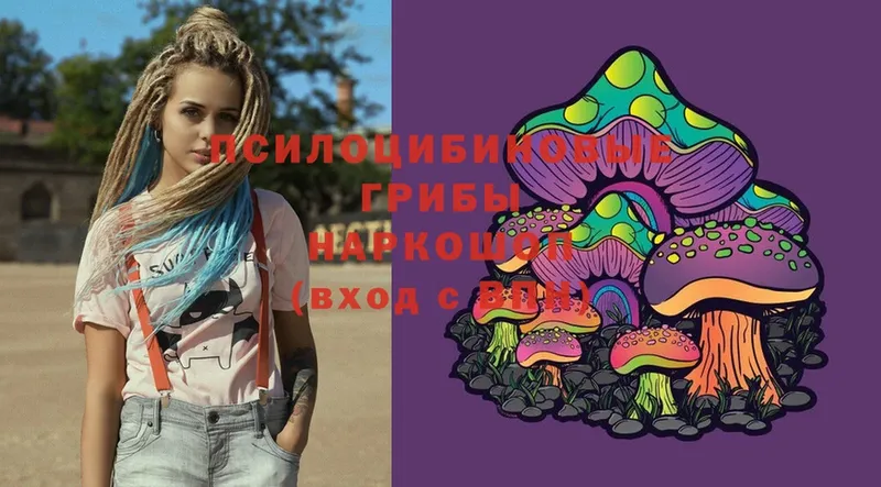 MEGA вход  Малая Вишера  Галлюциногенные грибы Magic Shrooms 